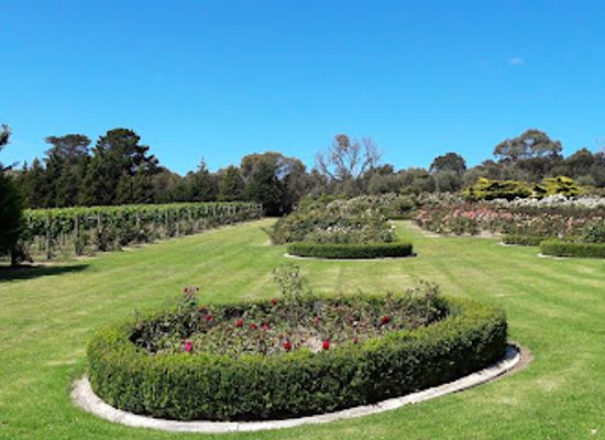 australia/mornington-peninsula/landmark/morning-star-estate