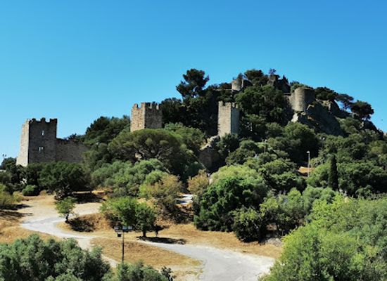 france/cote-d-azur/landmark/chateau-d-hyeres