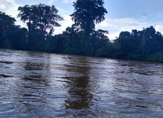 colombia/catatumbo/landmark/parque-nacional-natural-catatumbo-bari