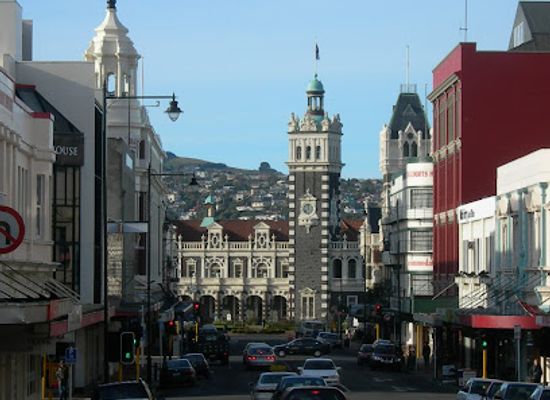 new-zealand/dunedin/landmark/baldwin-street-the-steepest-street-in-the-world