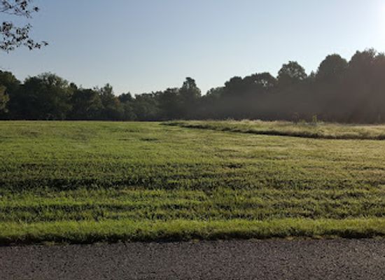 illinois/corn-belt/landmark/giant-city-state-park