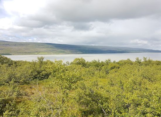 iceland/east-fjords/landmark/hallormsstadhaskogur