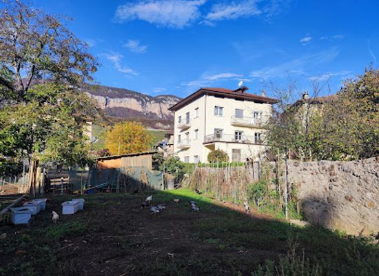 italy/val-di-non/landmark/hotel-ristorante-dal-pez