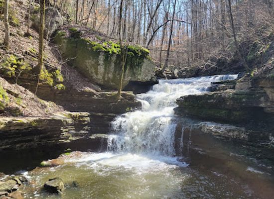 alabama/lake-guntersville/landmark/buck-s-pocket-state-park