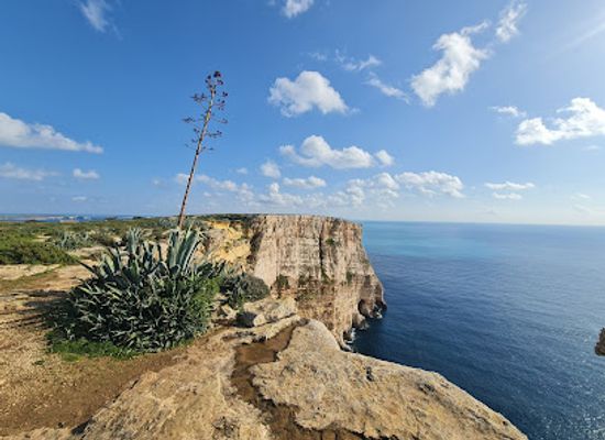 malta/xlendi-area/landmark/ta-cenc-cliffs