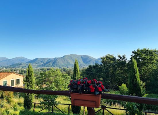 italy/lucca/landmark/fattoria-al-dotto-lucca