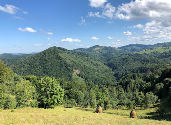 ukraine/bukovina/landmark/vyzhnytsia-national-park