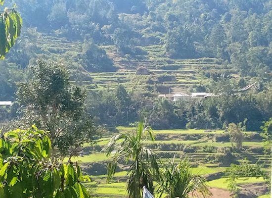 indonesia/tana-toraja/landmark/toraja-tour-guide-konstantin