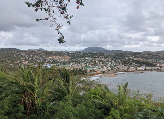 saint-lucia/gros-islet/landmark/mamiku-gardens