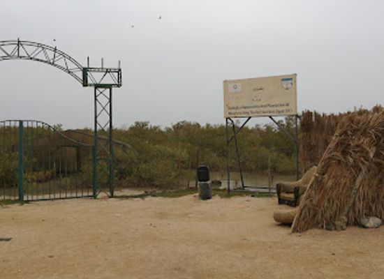 egypt/safaga/landmark/mangroven-safaga
