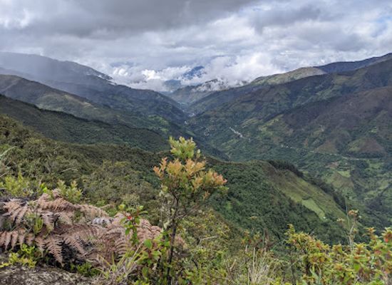 ecuador/southern-sierra/landmark/parque-nacional-podocarpus