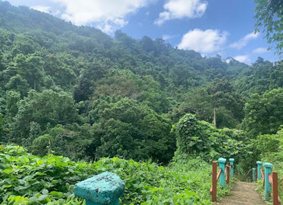 vanuatu/torba/landmark/evergreen-cascades-waterfall