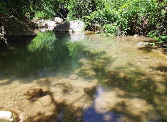 israel/northern-district/landmark/nature-reserve-nahal-amud