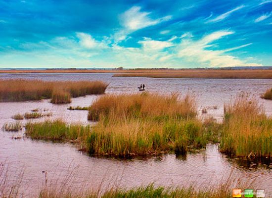 latvia/pape-nature-reserve/landmark/pape-lighthouse