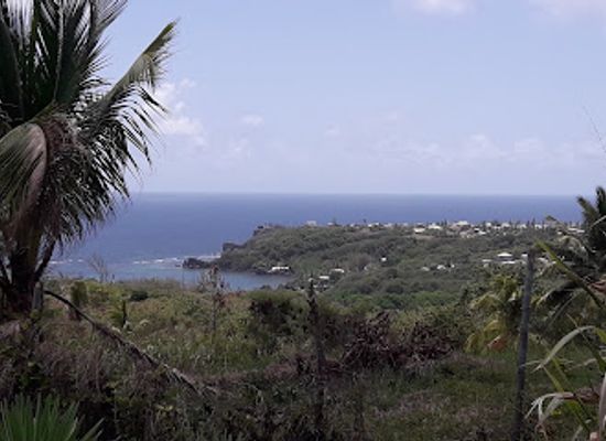 barbados/saint-thomas/landmark/codrington-college