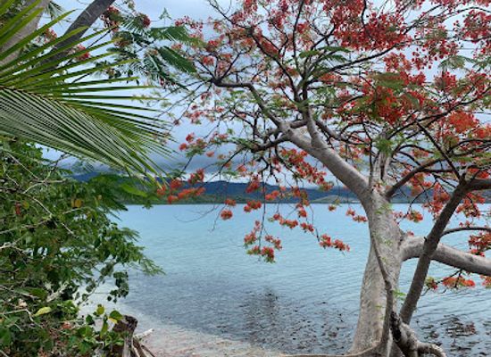 fiji/viti-levu/landmark/nananu-i-cake