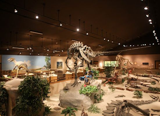 north-dakota/dickinson/landmark/dickinson-museum-center-badlands-dinosaur-museum