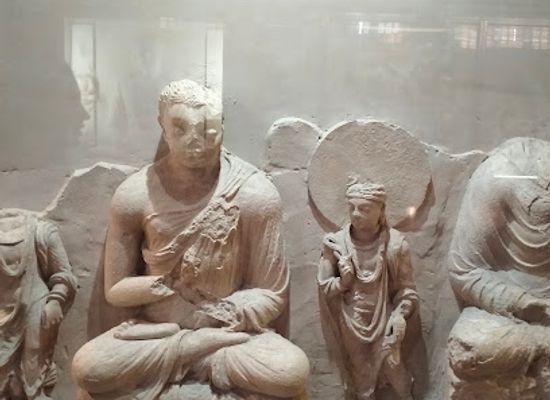 pakistan/gandhara/landmark/taxila-museum