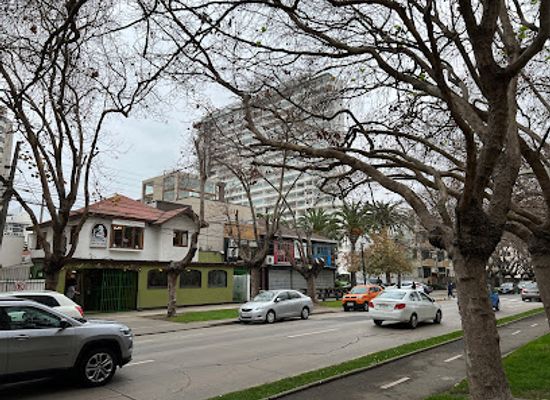 chile/vina-del-mar/landmark/don-vito-e-zanoni