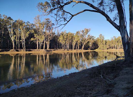 australia/murray-region/landmark/murray-valley-national-park