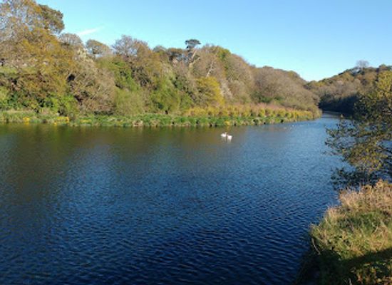 united-kingdom/dyfed/attraction/welsh-wildlife-centre-2