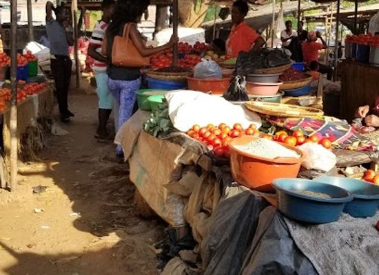 malawi/central-region/landmark/lizulu-horticulture-market