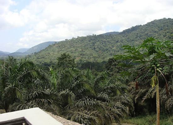 equatorial-guinea/ureka/landmark/parque-nacional-del-monte-alen