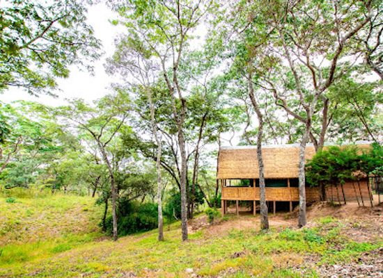 malawi/dzalanyama-forest-reserve/landmark/dzalanyama-forest-lodge