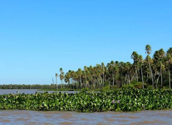argentina/gran-chaco/landmark/laguna-el-palmar-national-park