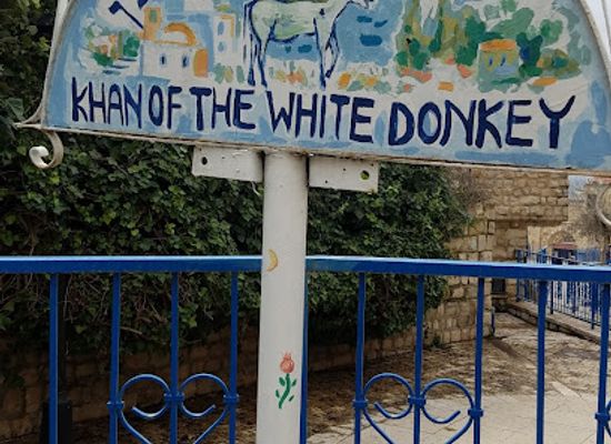 israel/safed/landmark/khan-of-the-white-donkey