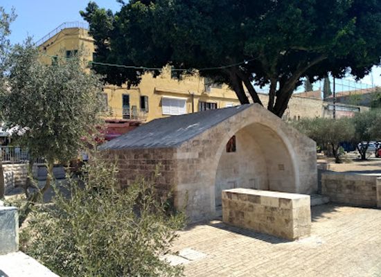 israel/nazareth/landmark/the-ancient-bathhouse-cactus-gallery