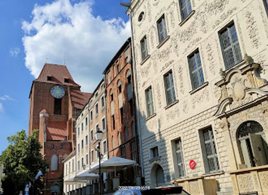 poland/torun/landmark/dambskich-palace