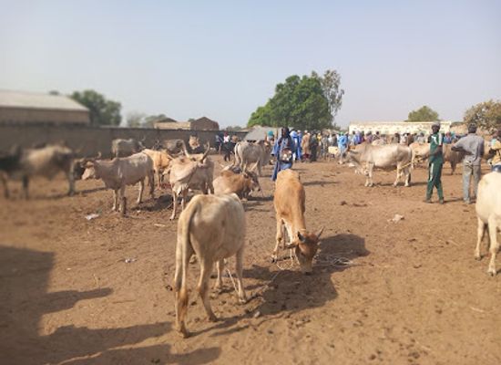 the-gambia/upper-saloum/landmark/wassu-market