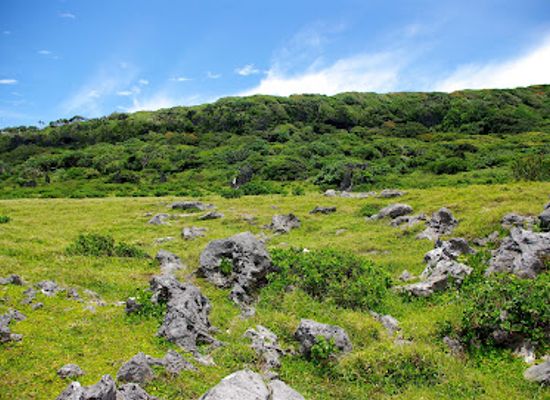 tonga/eua/landmark/eua-national-park