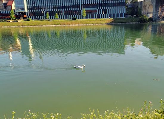 slovenia/maribor/lent/landmark/festivalna-dvorana-lent-maribor-slovenia