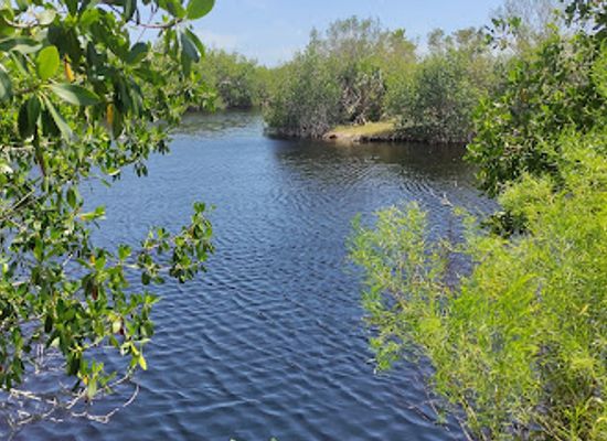 florida/big-cypress-national-preserve/landmark/big-cypress-wildlife-management-area-stairsteps-unit