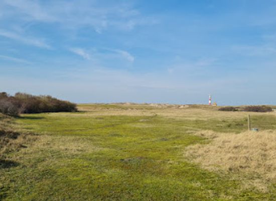 belgium/nieuwpoort/landmark/natuurreservaat-de-ijzermonding