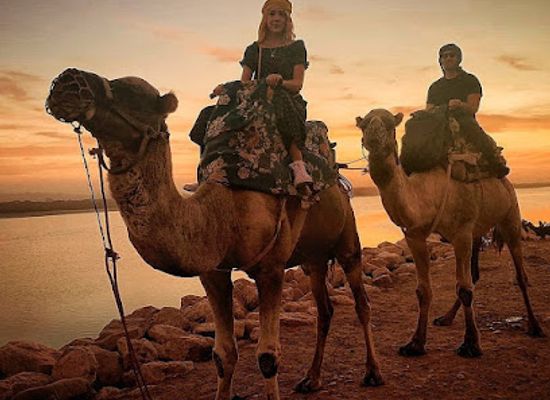 morocco/agadir-region/landmark/agadir-camel-horse-riding