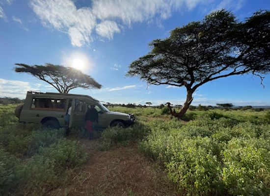 kenya/amboseli-national-park/landmark/kilimanjaro-balloon-safaris