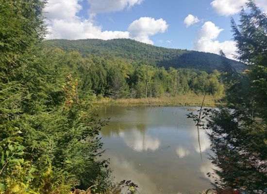 vermont/green-mountains-national-forest/landmark/audubon-vermont-green-mountain-audubon-center