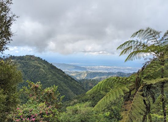 jamaica/yallahs-valley/landmark/holywell-park-jamaica