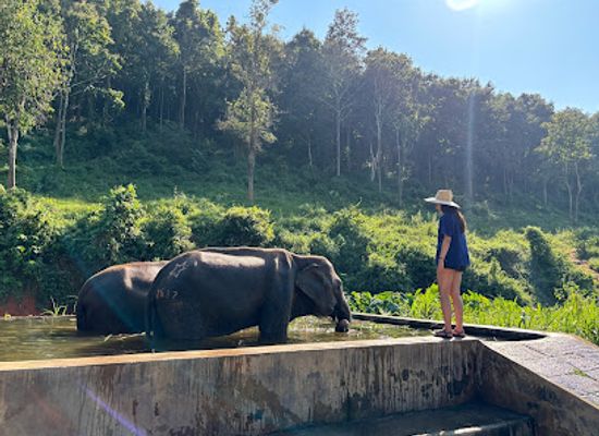 thailand/lanna/landmark/lanna-kingdom-elephant-sanctuary