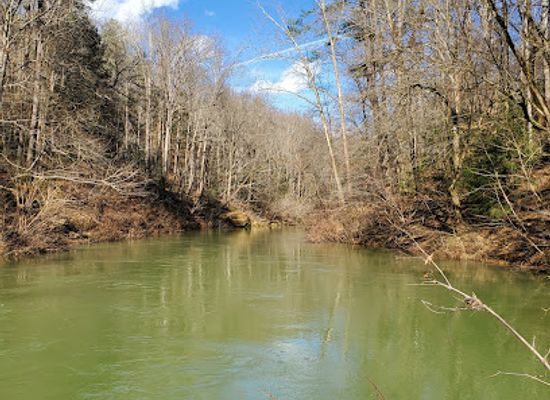 alabama/hill-country/landmark/bankhead-national-forest