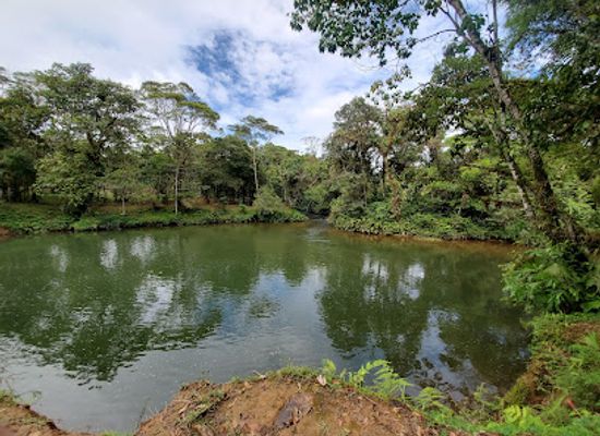 ecuador/northeast-oriente/landmark/paseo-turistico-del-rio-puyo