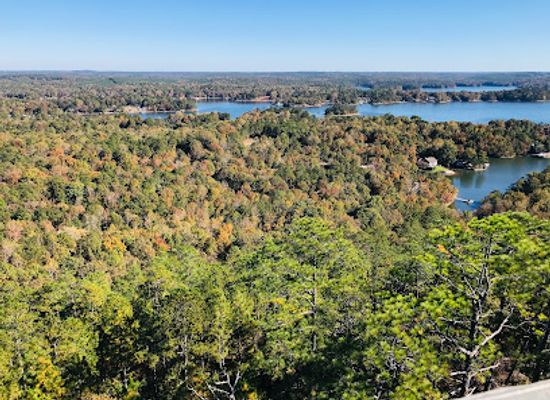 alabama/alabama-coastal-birding-trail/landmark/smith-mountain-fire-tower
