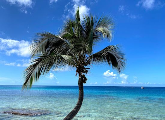 barbados/mullins/landmark/bombas