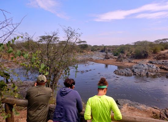 tanzania/lake-zone/landmark/serengeti-national-park