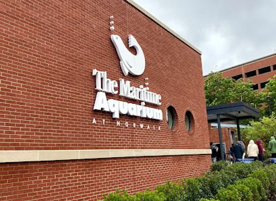 connecticut/norwalk/landmark/the-maritime-aquarium-at-norwalk