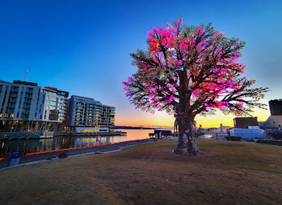 norway/oslo/landmark/the-oslo-tree