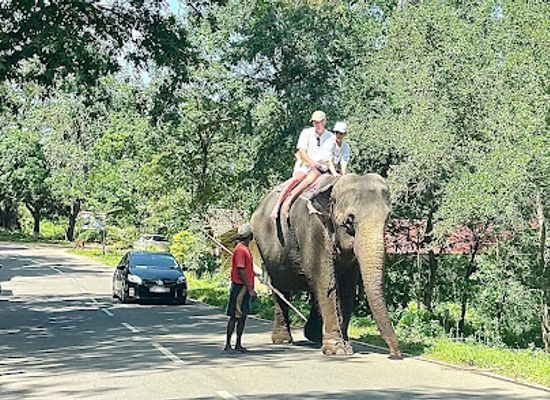 sri-lanka/sigiriya/landmark/rock-view-elephant-sufari-ravi-sigiriya
